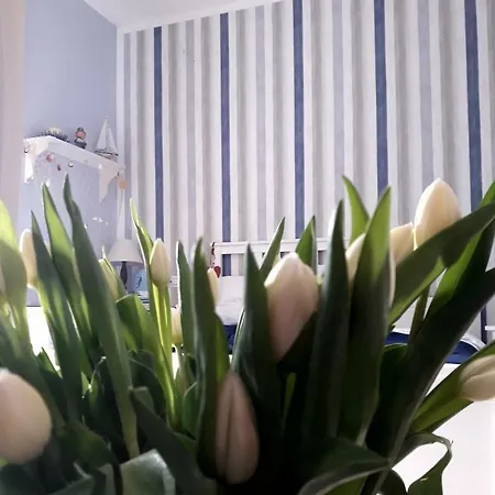 Velamare サレルノ